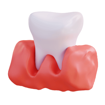 3d illustration of teeth and gums png