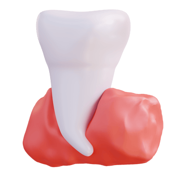 3d illustration of teeth and gums png
