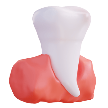 3d illustration of teeth and gums png