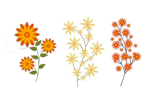 Branch of green plant with bright flowers. Botanical elements. Meadow, wildflowers and herbs. Hand drawn grass. Floral Herb Design elements. Spring botanical vector illustration