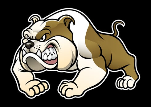 angry bulldog character cartoon mascot vector