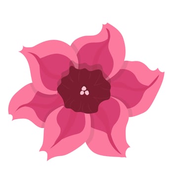 Colorful abstract flower icon. Vector illustration isolated on white background.