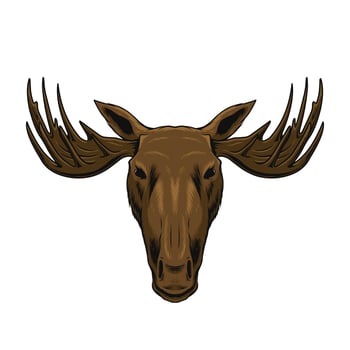 moose head illustration vector