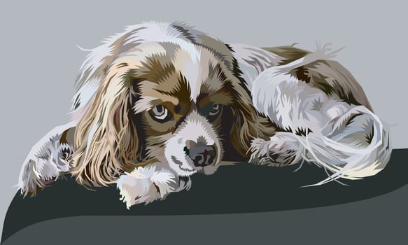 cute cocker spaniel dog isolated on pop art style. vector illustration.