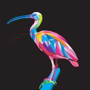 colorful standing pelican on geometric pop art style. Polygonal Animals. vector