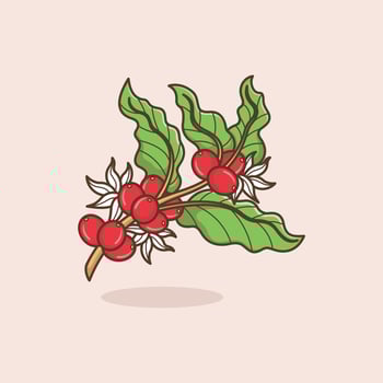 cute cartoon coffee fruit vector