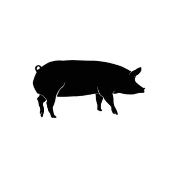 A pig vector is a digital graphic representation of a pig. Overall, a pig vector is a versatile and useful graphic asset for designers and illustrators