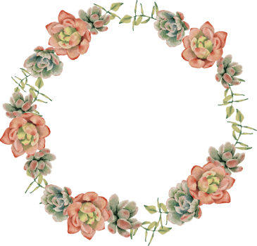 watercolor succulent plant and flower bouquet wreath frame png