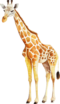 Giraffe Watercolor Illustration png