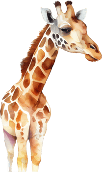 Giraffe Watercolor Illustration png