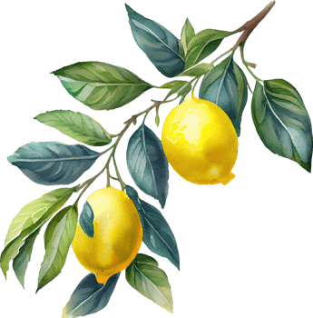 Lemon Fruit Watercolor Illustration png