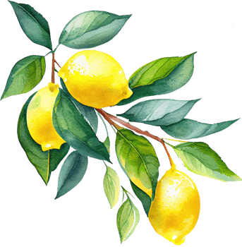 Lemon Fruit Watercolor Illustration png