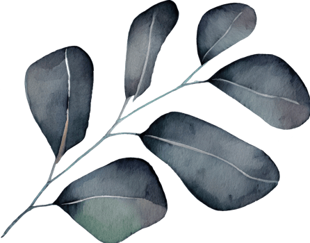 Leaf Watercolor Illustration png