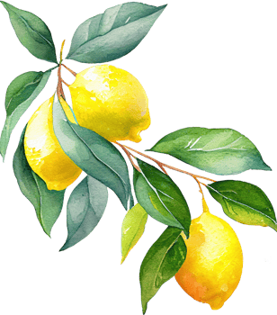 Lemon Fruit Watercolor Illustration png