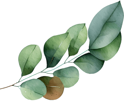 Leaf Watercolor Illustration png