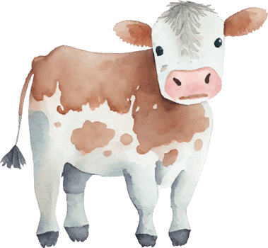 Cow Farm Animal Watercolor Illustration png