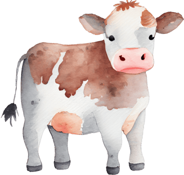Cow Farm Animal Watercolor Illustration png