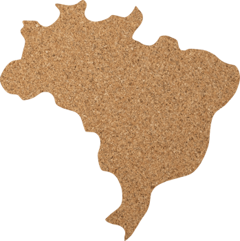 Brazil cork wood texture cut out on transparent background. png