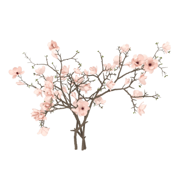 Tree flowers 3d render png