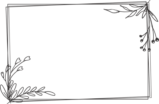 Minimalist floral frame with hand drawn leaf and shape simple floral border png