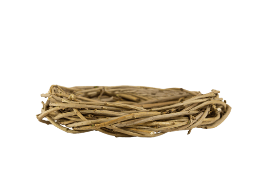 Natural bird's nest from branches on isolated background. Easter, natural element. Copy space png