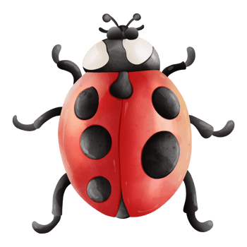 Watercolor single ladybug insect animal, Spring Season illustration Element png