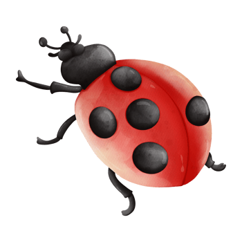 Watercolor single ladybug insect animal, Spring Season illustration Element png