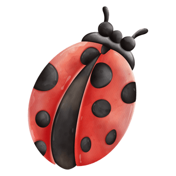 Watercolor single ladybug insect animal, Spring Season illustration Element png