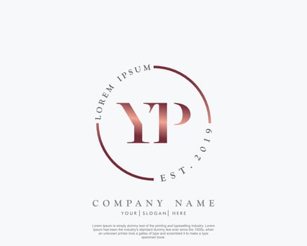 Initial letter YP Feminine logo beauty monogram and elegant logo design, handwriting logo of initial signature, wedding, fashion, floral and botanical with creative template vector