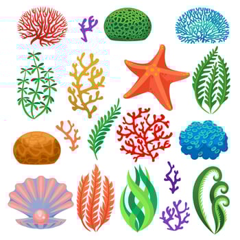 Seaweeds. Cartoon colorful underwater reef corals, plants. Aquarium, ocean and undersea flora, starfish and shell isolated vector set