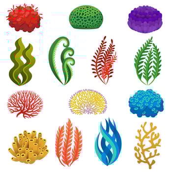 Seaweed and corals. Cartoon underwater reef plants and animals. Aquarium, ocean and sea flora, marine floral elements vector set