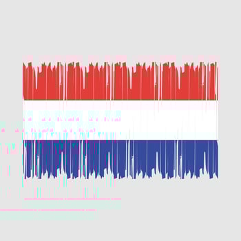 Netherlands Flag Brush Vector Illustration