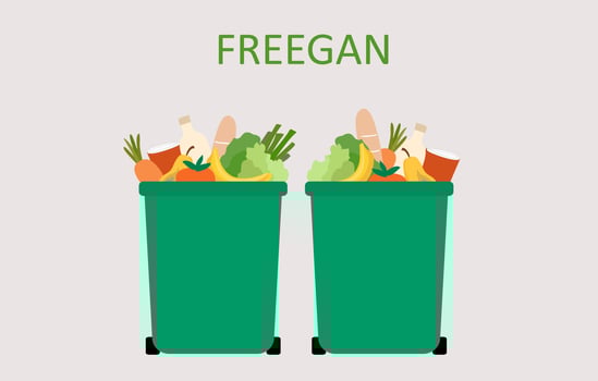 Freegan food and freeganism concept, food, fruits, vegetables and other products in garbage bin vector illustration.