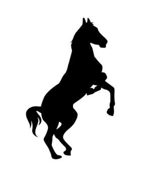 horse silhouette. neighing horse. side view. concept of animal, wildlife, farm, pet. vector illustration