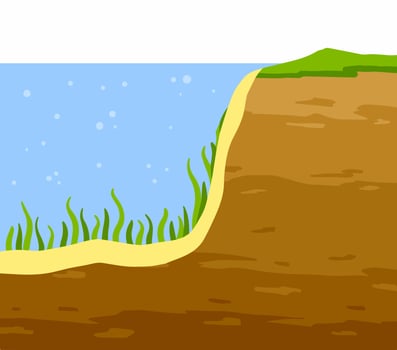 Water shore. Land in cross section. vector