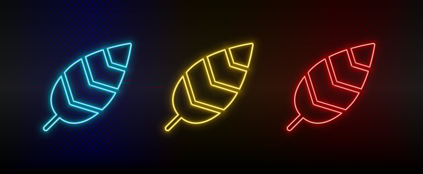 Neon icons, bird feather. Set of red, blue, yellow neon vector icon on darken transparent background