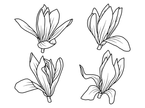 Hand drawn flower sketch line art illustration set vector