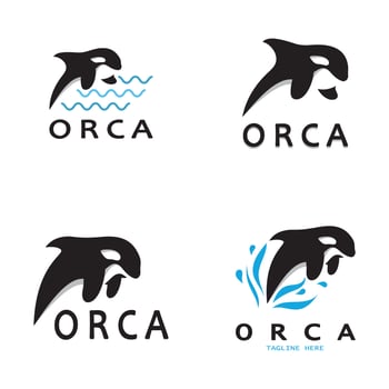 Simple orca whale animal illustration logo creative design, killer whale, underwater animal. Logo for business, identity and branding,badge,conservation,ecology concept,sea animal protection,vector vector