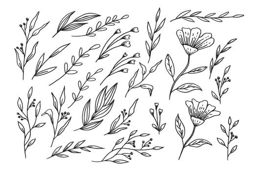 Hand drawn leaves and flowers collection organic floral decorative vector