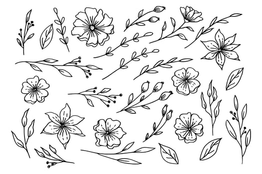 Hand drawn leaves and flowers collection organic floral decorative vector
