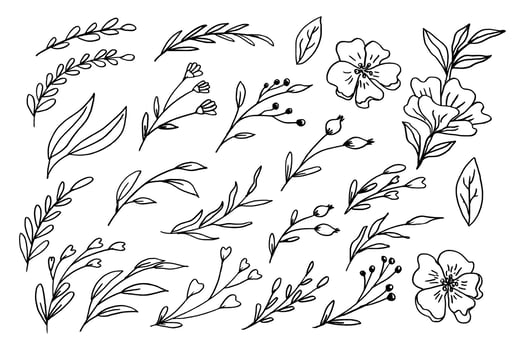 Hand drawn leaves and flowers collection organic floral decorative vector