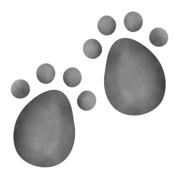 footprint clipart in watercolor style . png