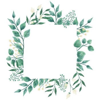 Watercolor floral FRAMES png with transparent background