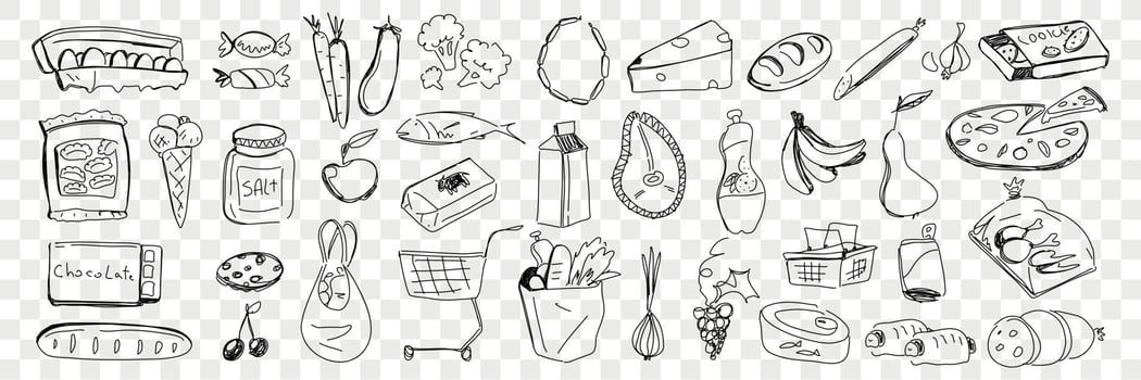 Foods from grocery purchase doodle set. Collection of hand drawn fresh bread cheese vegetables fruits eggs fish pizza cookies sweets salt dairy products bought in supermarket on transparent background vector