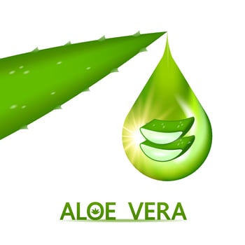 aloe vera collagen and serum for skin care cosmetic vector