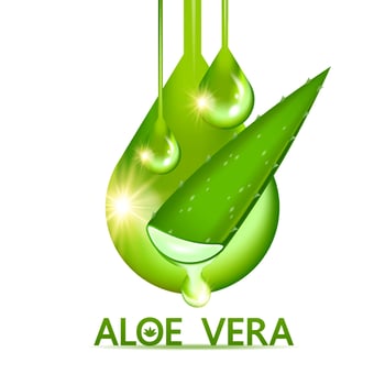 aloe vera collagen and serum for skin care cosmetic vector