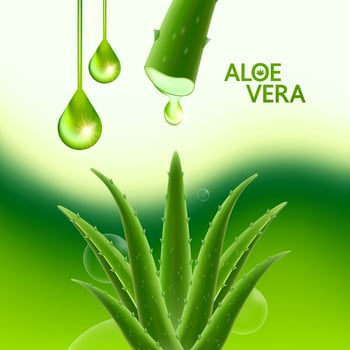 aloe vera collagen and serum for skin care cosmetic vector