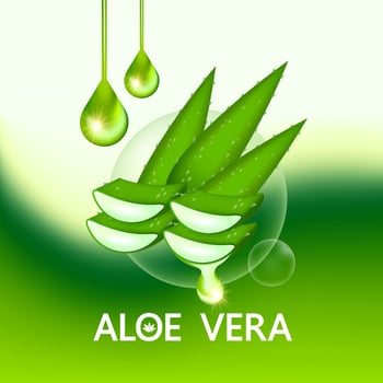 aloe vera collagen and serum for skin care cosmetic vector