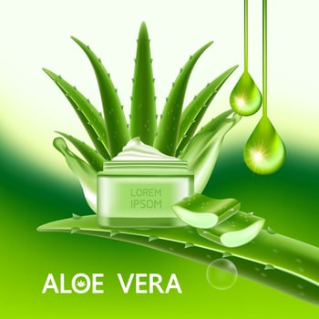 aloe vera collagen and serum for skin care cosmetic vector
