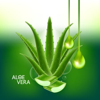aloe vera collagen and serum for skin care cosmetic vector